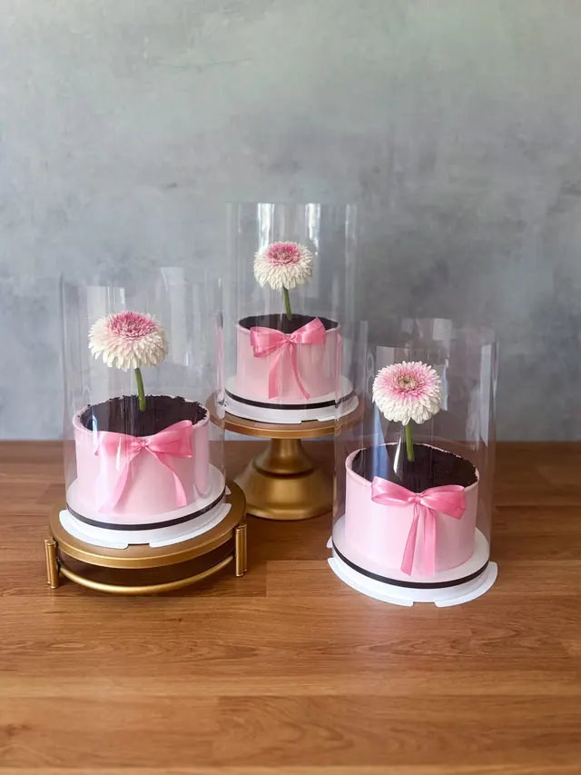 Mini torciki w doniczkach z żywymi kwiatami